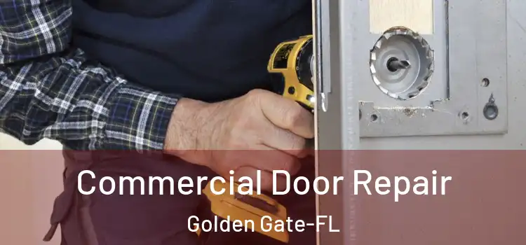  Commercial Door Repair Golden Gate-FL