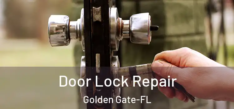  Door Lock Repair Golden Gate-FL
