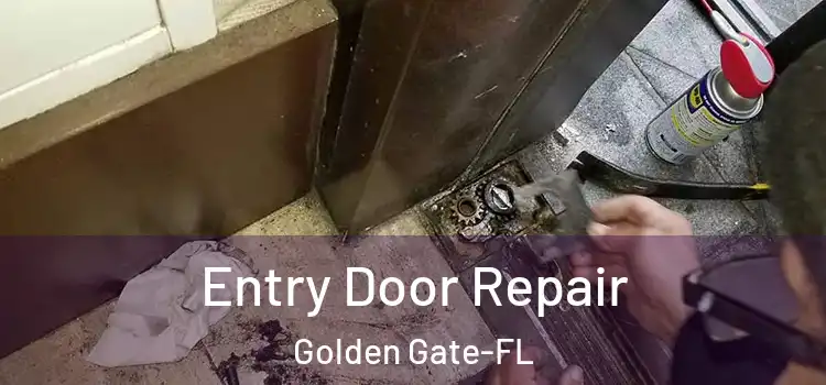  Entry Door Repair Golden Gate-FL
