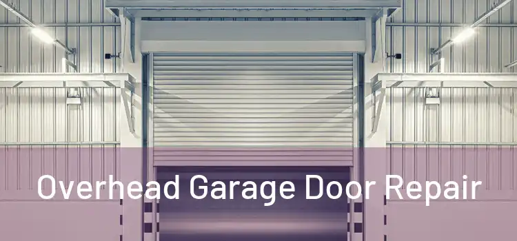  Overhead Garage Door Repair 
